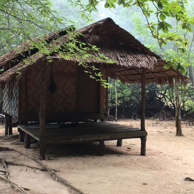 KoTgu-Zhang%20Peili%201.jpeg?noMark=true thailand Biennale