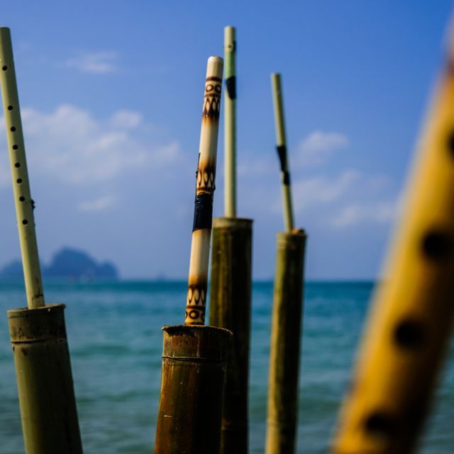 hGz6L-03%20-%20First%20Test%20in%20the%20sea%20in%20Thailand%20%28Ao%20Nang%20Beach%29%20-%20picture%20by%20F%C3%A9lix%20Blume%202018%20%28Ref%20FLXB2686-22%29.jpg?noMark=true thailand Biennale