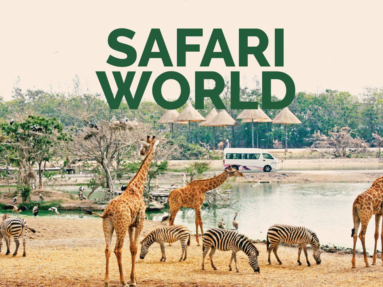 safari world and safari park bangkok