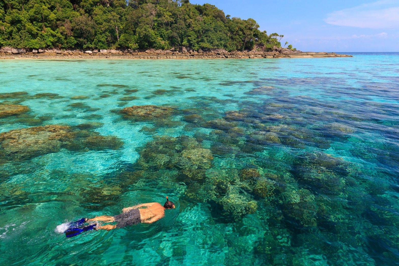 Surin Islands premium snorkeling day trip