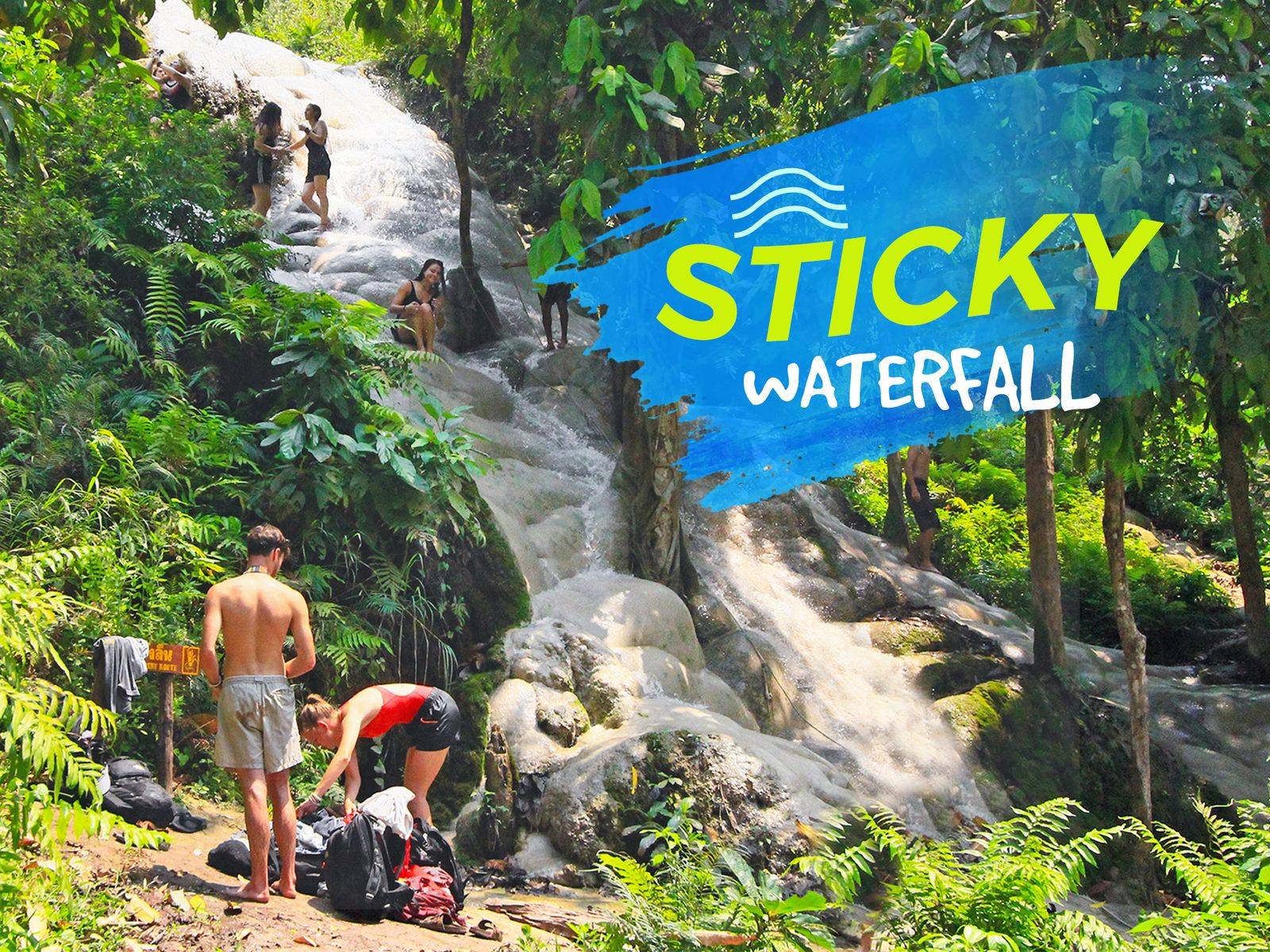 Bua Tong Waterfall Chiang Mai Tour With Local Experts Bua Tong Waterfall Chiang Mai Tour With Local Experts
