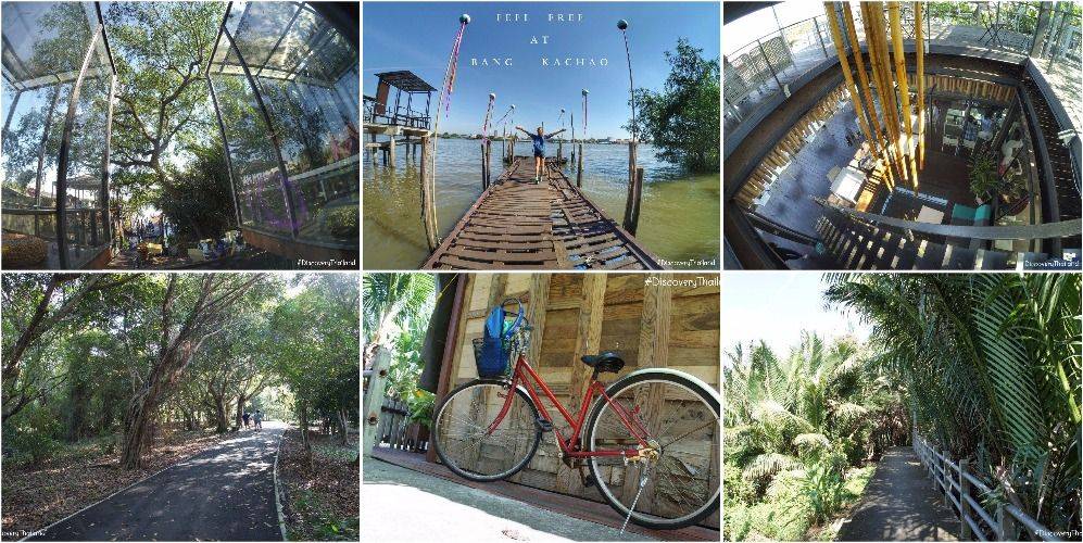 1 Day Trip at Bang Kachao “The Lungs of Bangkok”