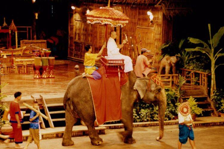 Thai village culture & Elephant Show