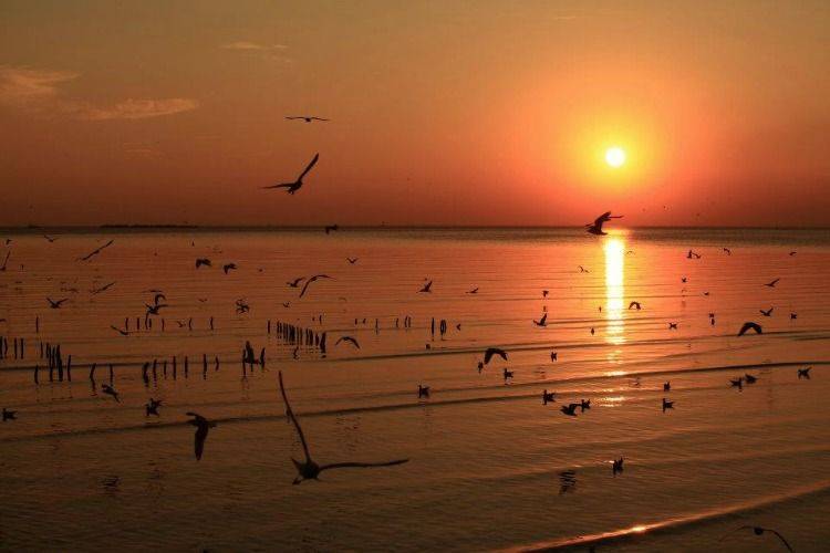 Iconic landmarks of Samut Prakarn province
