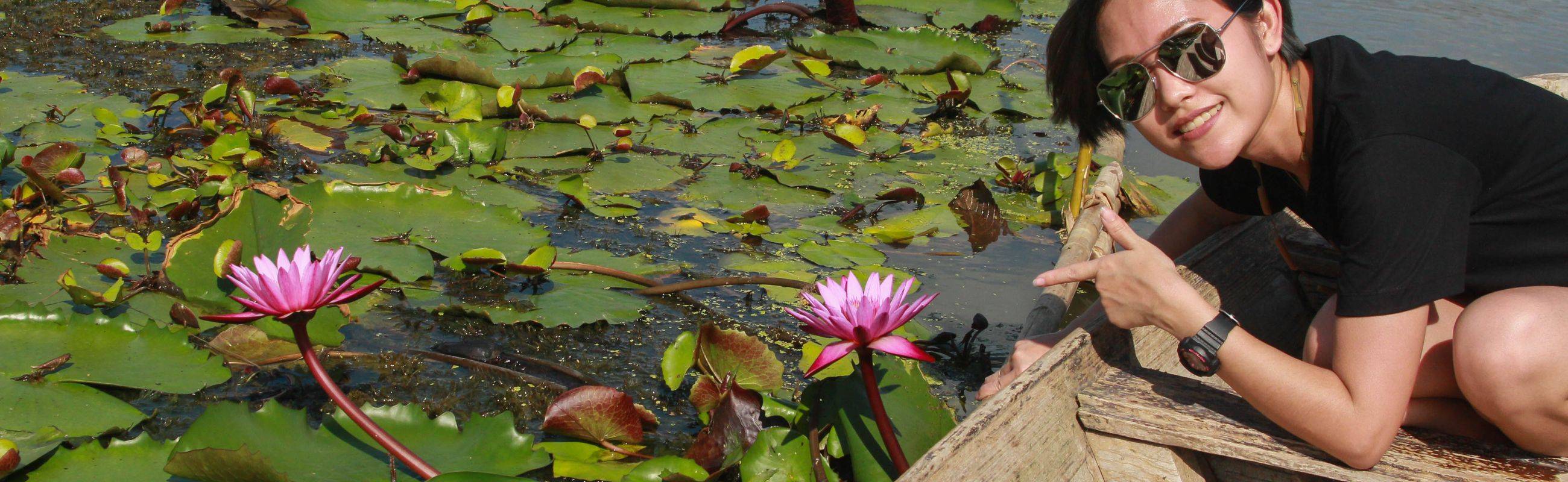 Visit Red Lotus Pond and Try Lotus Petal Snack