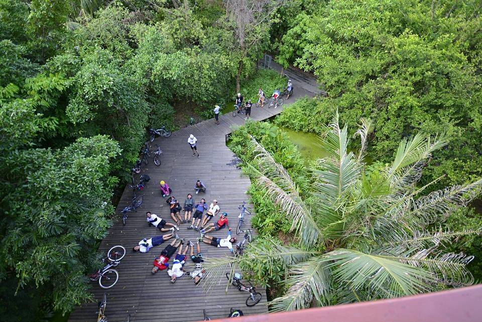 Bike Tour of Bangkok’s Green Lung : Bang Krachao