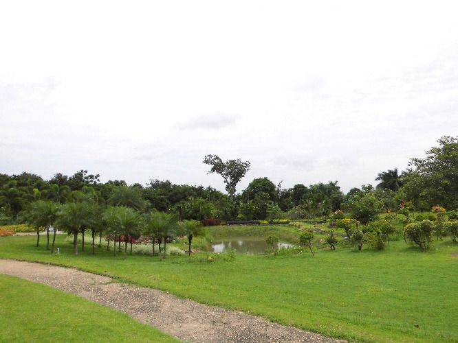 Historical Trip in Udonthani