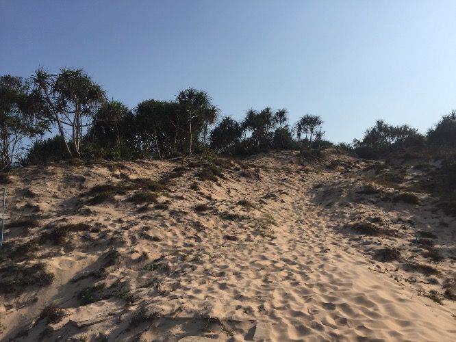 The Most Distinct Thai Sand Dune & Lunch in Mangrove Forest
