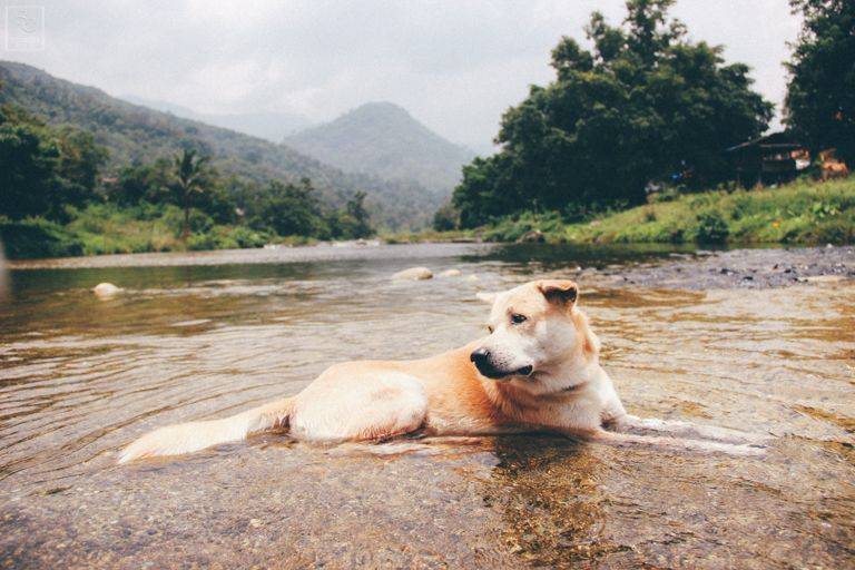 Experience Local Community Living and Purest Ozone in Nakhon Si Thammarat