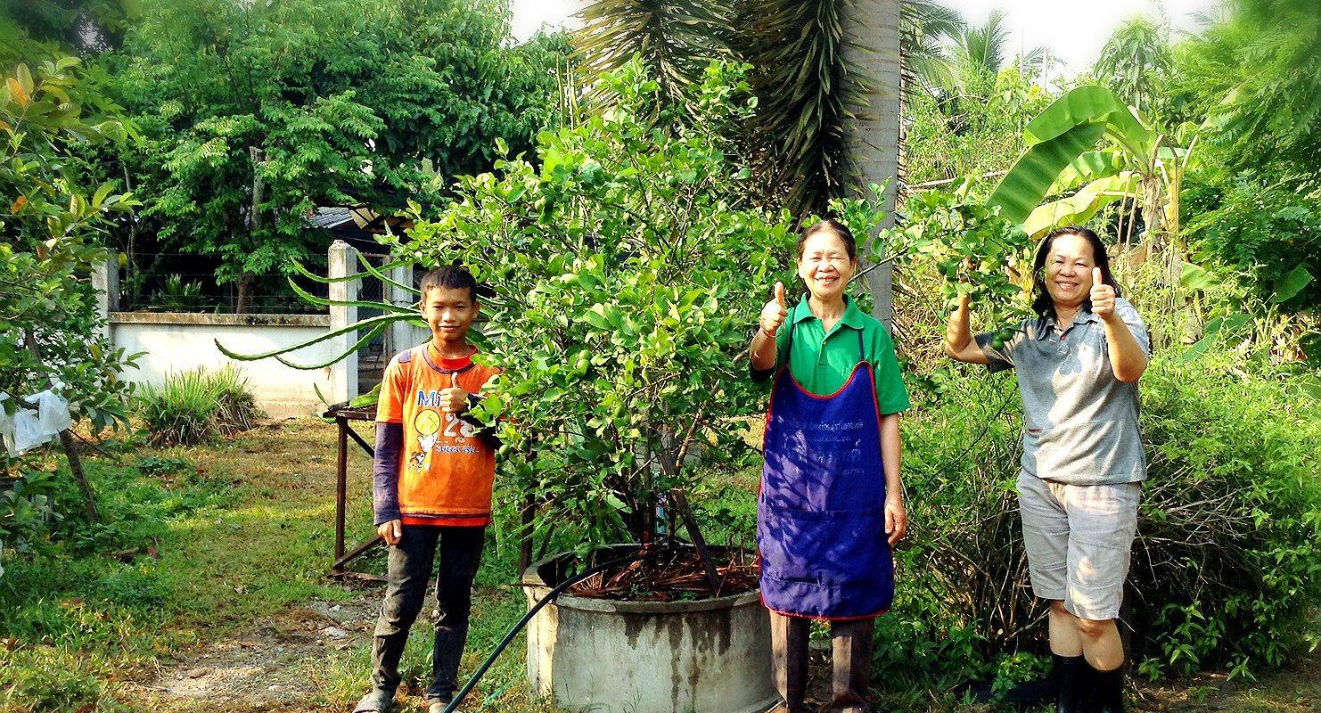 Organic Gardening in Chiang Mai