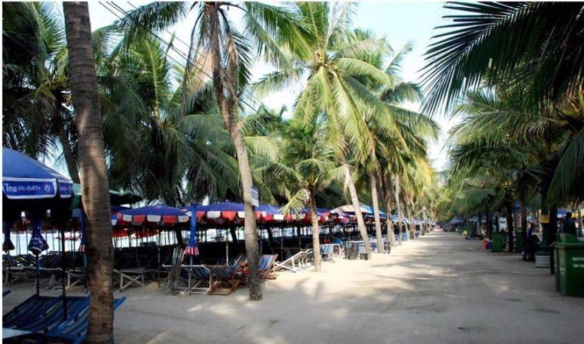 Bangsaen Beach Tour and Seafood Market!