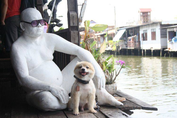 Thai Fun: Taling Chan Floating Market with Thai Puppet Show
