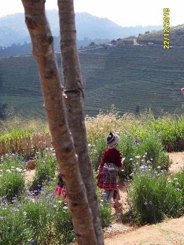 Take a Day Trip and Explore the Secrets of Chiang Mai