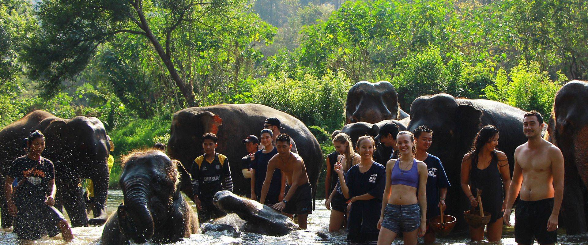 Eco-Friendly Elephant Sanctuary