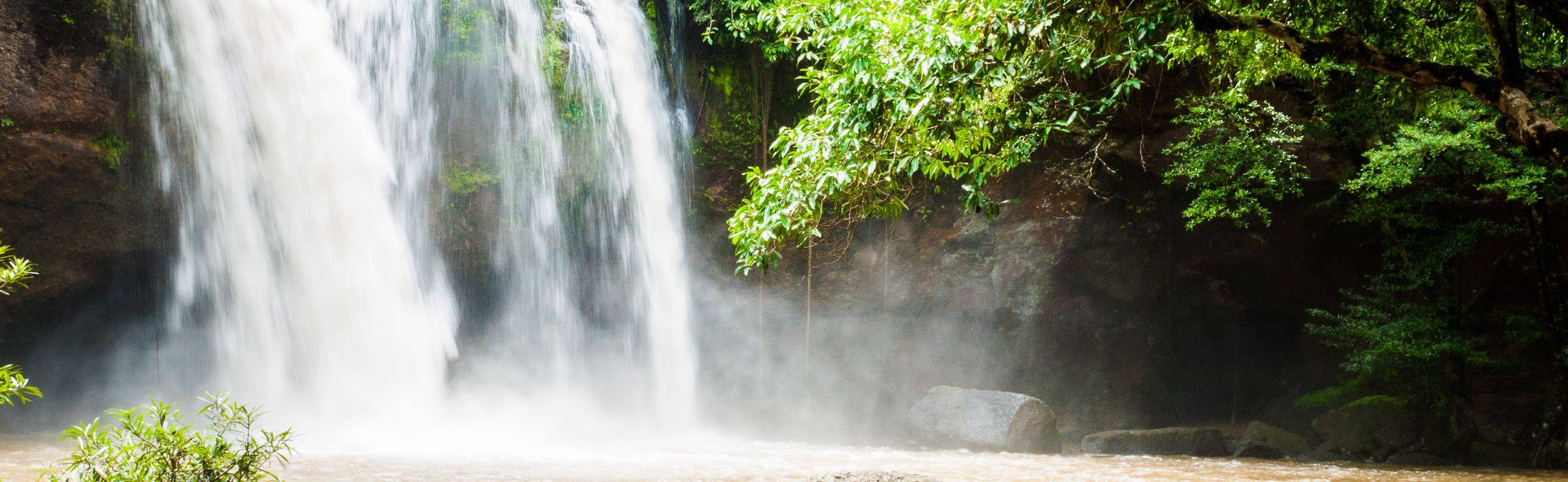 A Memorable Day Tour to Khao Yai National Park with An Expert