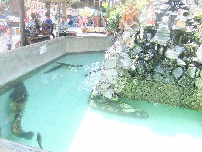 Cycling, Historical places, Museum & Fair Price Seafood