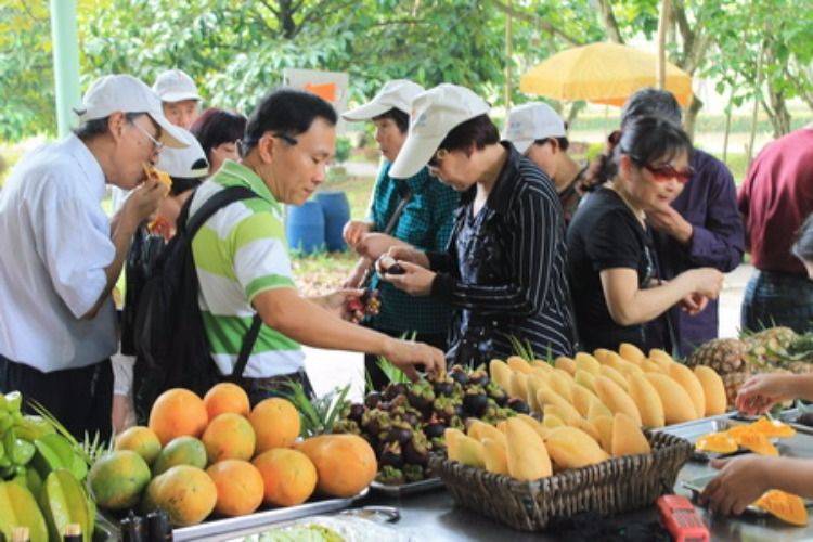 Tasting Thai Fruits Fresh from The Farm (All You Can Eat)