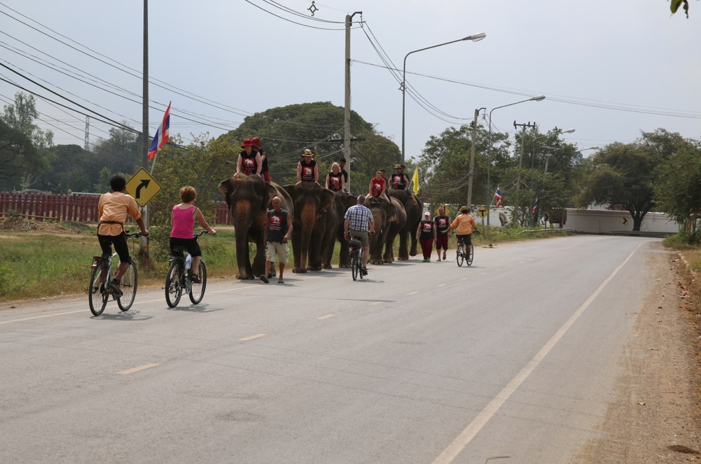 Colors of Ayutthaya Bicycle Excursion