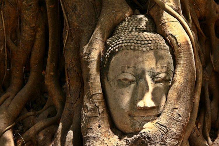 Amazing Ayutthaya! Check out The Old Vibe of Thailand!