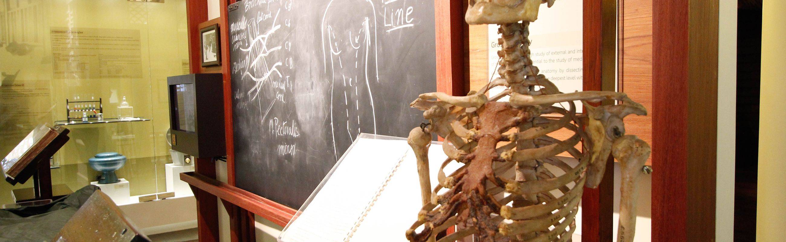 See the Bangkok Museum of Death and More Unconventional Museums