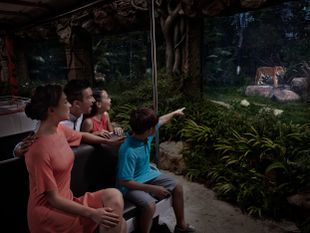 บัตรเข้าสิงคโปร์ไนท์ซาฟารี ราคาพิเศษ (Singapore Night Safari)