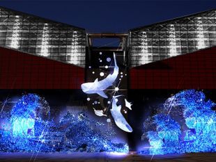 บัตรเข้าพิพิธภัณฑ์สัตว์น้ำไคยูคัง โอซาก้า (Osaka Aquarium Kaiyukan)