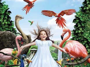 บัตรเข้าสวนนกจูร่ง ราคาพิเศษ (Jurong Bird Park)