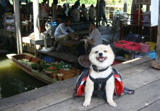 Thai Fun: Taling Chan Floating Market with Thai Puppet Show