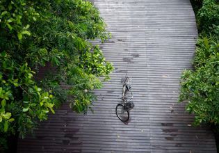 Take A Bike Tour with Local in Bang Ka Chao, the Urban Oasis
