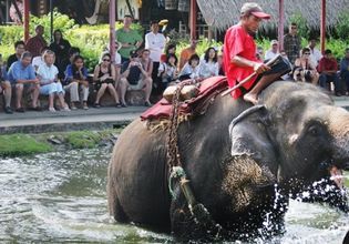 Thai village culture & Elephant Show