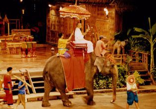 Thai village culture & Elephant Show