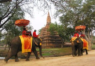 Hang out with Elephants in Ayutthaya
