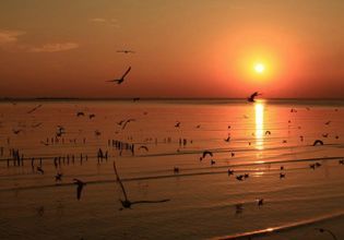 Iconic landmarks of Samut Prakarn province