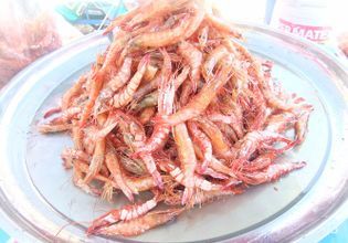 Cycling, Historical places, Museum & Fair Price Seafood
