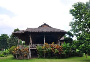 An off-the-beaten path with one of the most authentic tea plantations in Chiang Mai