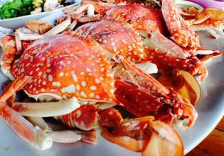 Experiencing Floating Market & Fresh River Prawn