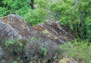 Visit the roof of Thailand - Doi Inthanon (and more)