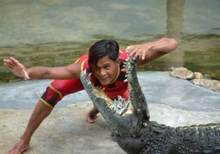Let them be unleashed! An extraordinary day tour around Bangkok