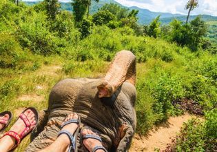 Thai Life with Real Local
