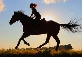 Be a Cowboy; Horse Riding, ATV Riding, Shooting Range in the Military Base with the Army Individual Instructor