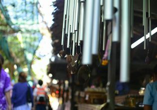 Bike Tour of Bangkok’s Green Lung : Bang Krachao