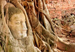 Ayutthaya Historical City Tour with A Real Local