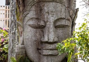 Visit the roof of Thailand - Doi Inthanon (and more)