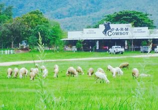 Be a Cowboy; Horse Riding, ATV Riding, Shooting Range in the Military Base with the Army Individual Instructor