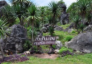 Kun Ming of Loei Tour: Mountain Senic with local North-eastern foods.