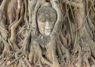 Ayutthaya City & Floating Market Tour