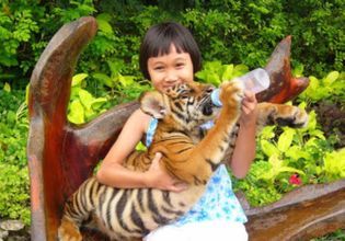 Thai Life with Real Local