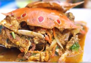 Let them be unleashed! An extraordinary day tour around Bangkok