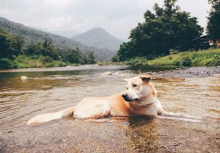 Experience Local Community Living and Purest Ozone in Nakhon Si Thammarat