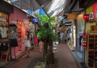Chatuchak JJ Green Market Tour with A Local